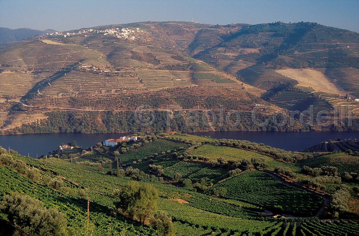 Douro River Valley, Portugal
 (cod:Portugal 06)